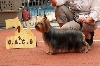  - Nationale d'Elevage des Terriers