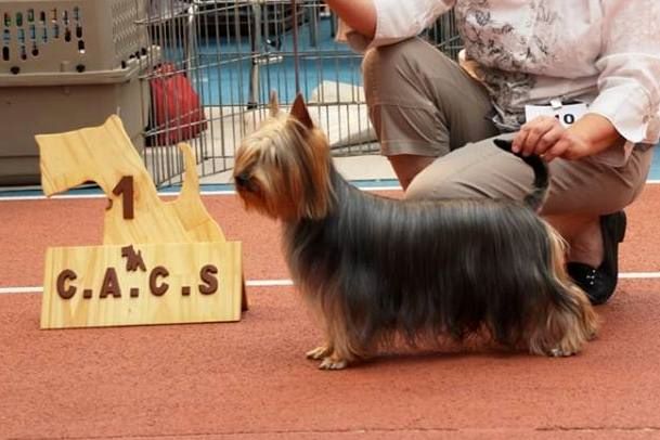 de la Lande Barbot - Nationale d'Elevage des Terriers