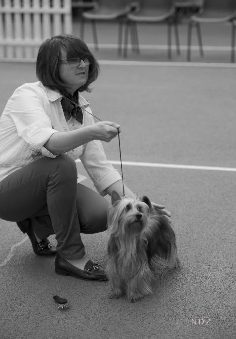 de la Lande Barbot - Nationale d'Elevage des terriers