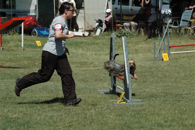 agility